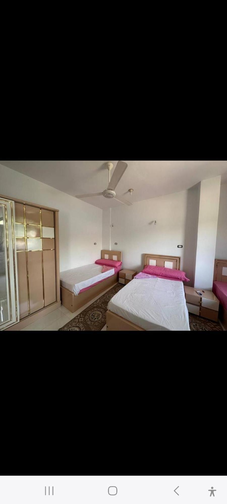 Nubian Bride Guest House 阿斯旺 外观 照片